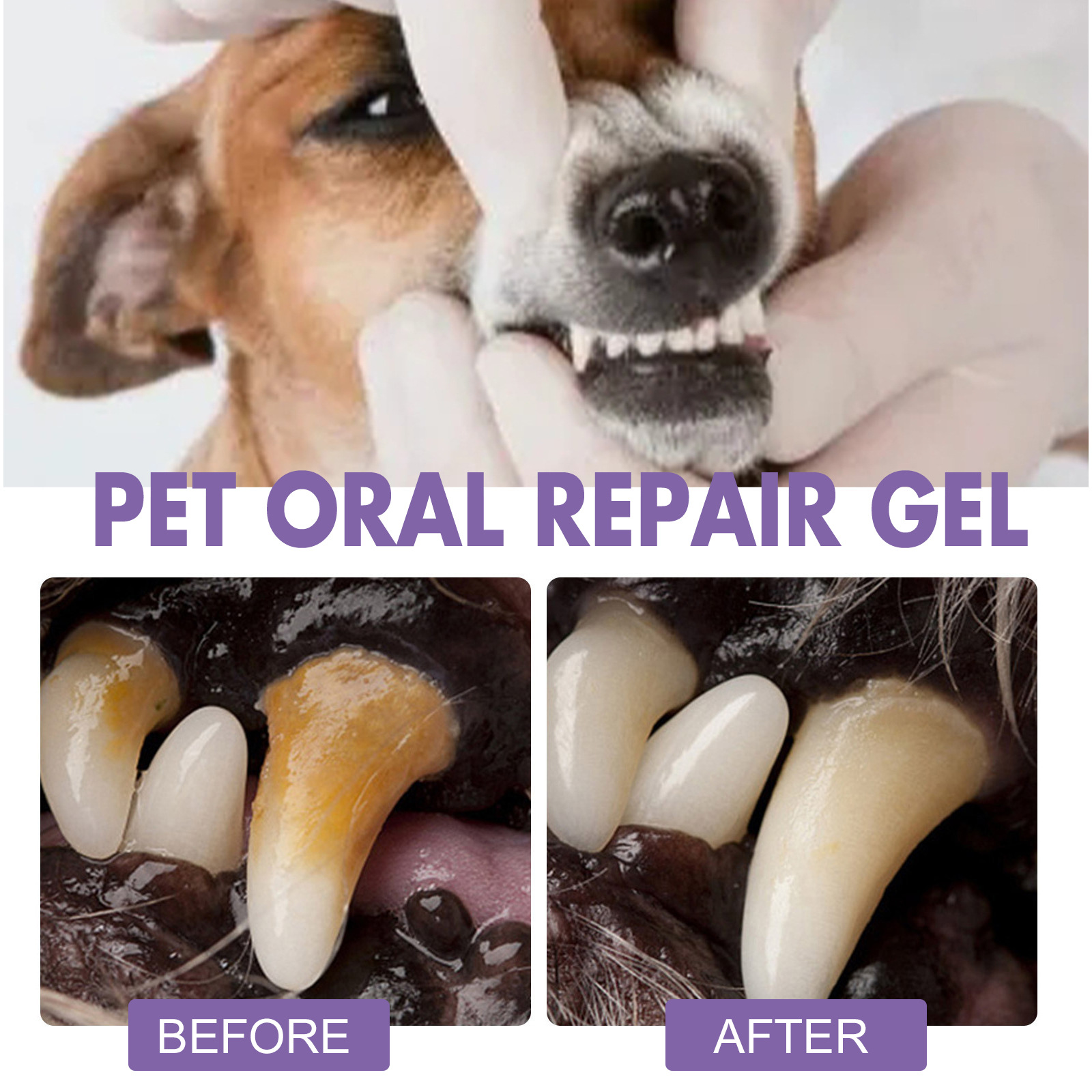 الحيوانات الأليفة الفم إصلاح ه - مراجعة Teeth Whitening With Hydrogen Peroxide وسعره